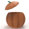 untitled.5782.jpg pumpkin pot