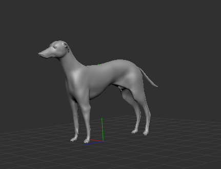 Spanish Greyhound - 3D model önizlemesi