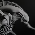 IMG_9738.jpg Alien Xenomorph Scout 3D Print Model 3D print model