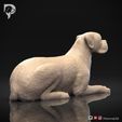 Boxer-Pose-09-Dog-3D-Print-3s.jpeg Chien Boxer Modèle imprimé en 3D Pose 09
