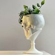 IMG_8224.jpg SKULL GOBLET /PLANTER