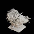 RADAHN-ELDEN-RING.016.jpg PROMISED CONSORT RADAHN Elden Ring Bust STL Model Print Fan Art