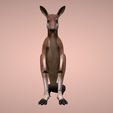 2.png Kangaroo 🦘🌿