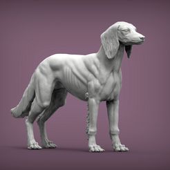 Saluki2.jpg 3D file Saluki 3D print model・3D printing design to download