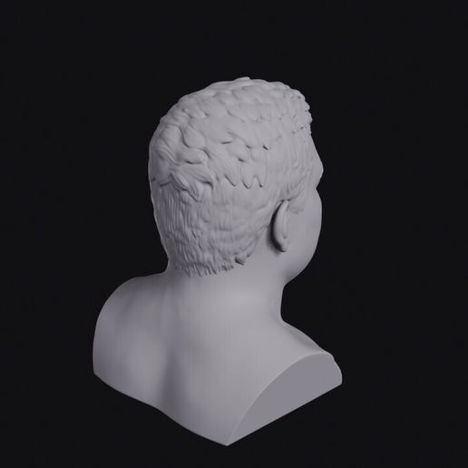 teenage_Polynesian_boy_with_a_heavy_build_and_short_hair_0007.jpg Teenage Polynesian Boy Bust