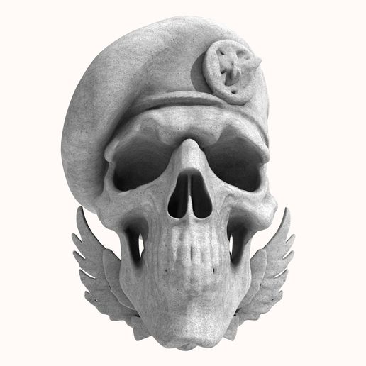 Naval-Special-Forces-Skull.jpg Naval Special Forces Skull