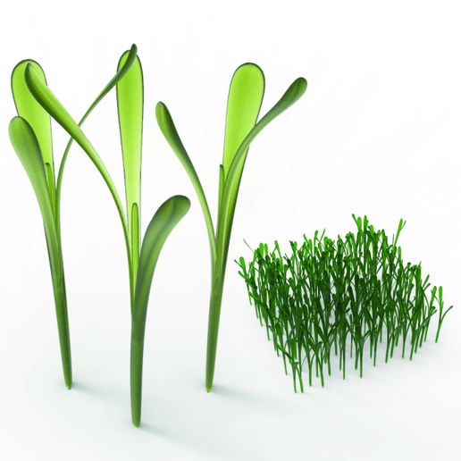 grass 3D model