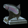 Rainbow-trout-trophy-open-mouth-1-13.png fish rainbow trout / Oncorhynchus mykiss trophy statue detailed texture for 3d printing