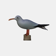 model-3.png Mouette