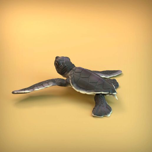 Turtle_5.jpg 3D-Datei Meeresschildkröten-Schlüpfling・3D-Druckvorlage zum Herunterladen, AnimalDenMiniatures