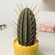 PXL_20250616_191134211.PORTRAIT.jpg Cactus toothpick holder