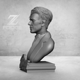 4.png DAVID BOWIE BUST EASY PRINT