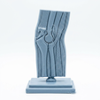 4.png 3D Printable Elbow Joint Anatomy Model