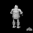 robot_03.jpg CASTLE GRAYSKULL ROBOT GUARD - 1/12 Scale
