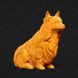 679-Australian_Terrier_Pose_04.jpg Australian Terrier Dog 3D Print Model Pose 04