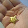 IMG_20230101_095806656.jpg Insignia de estrella de sheriff de Woody (Toy Story)