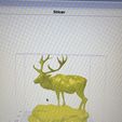 image0.jpeg BULL ELK