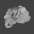Garden_Rose.png Hi-Res Garden Rose