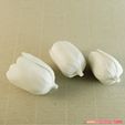 05.jpg flowers: Tulip - 3D printable model
