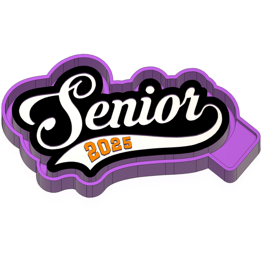 Senior 2025 Freshie STL Mold Housing 3D model