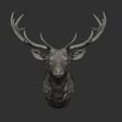30.jpg Deer head