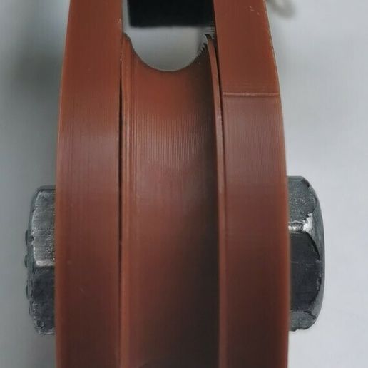 IMG_20220429_200059.jpg Polia