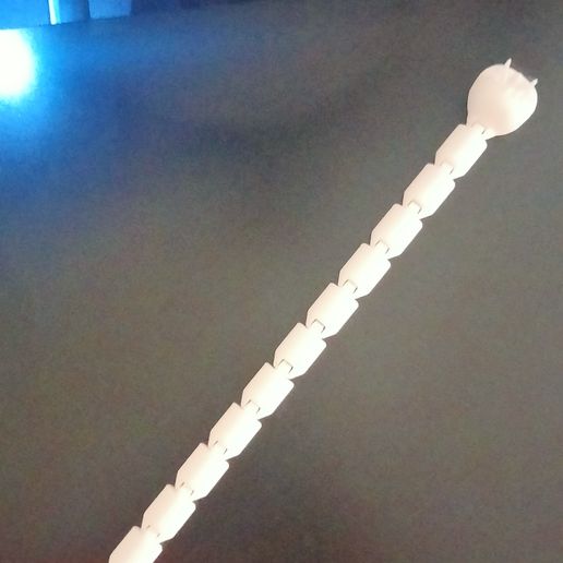 IMG20220828145018.jpg FLOR CARNIVORA REGADIO