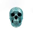 IMG_5276.jpg Skull Voronoi Low Poly