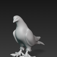 15.01.2026_21.22.57_REC.png 3d buy a pigeon