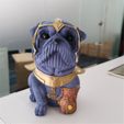 IMG_20210823_.jpg Thanos Shaped Bulldog（scanned by Revopoint POP）