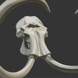 03.png 3D mammoth skull