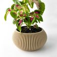 misprint-8396.jpg The Torme Planter Pot with Drainage | Tray & Stand Included | Modern and Unique Home Decor for Plants and Succulents  | STL File