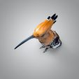 untitled.5639.jpg The hoopoe 3D model