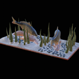 carp-scenery-45cm-7.png two carp scenery in underwather for 3d print detailed texture
