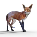 kitecattarifa