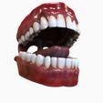 View2.jpg Mouth