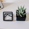 4.TensPlanter.jpg STL-Datei Anti-Schwerkraft-Pflanzer kostenlos・Design für 3D-Drucker zum herunterladen