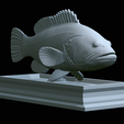 Dusky-grouper-31.png fish dusky grouper / Epinephelus marginatus statue detailed texture for 3d printing