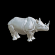 Capture-d’écran-2023-07-06-à-11.17.00.png Rhinoceros