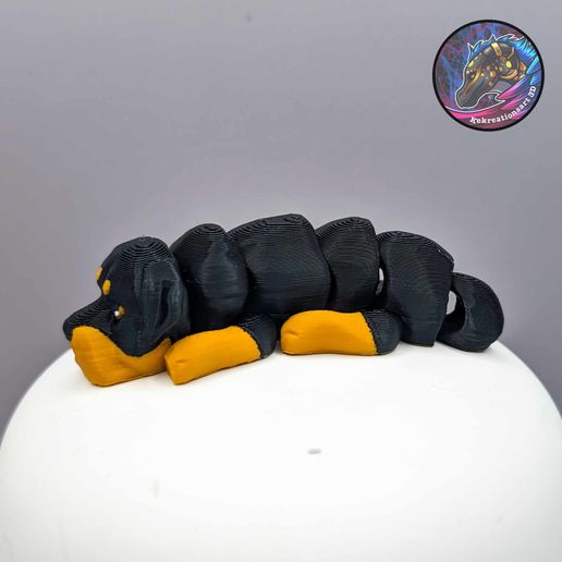 418725481_327319036983841_6291733571496326292_n.jpg Baby Flexi Dogs and Cats Set 4 (set of 10)