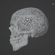 H3.jpg Filigree Human Skull