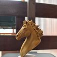 20220330_170707.jpg STL file Horse Head/Bust・3D print design to download
