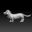 doggg3.jpg Dachshund Dog - cute dog - lovely dog - dog for 3d print