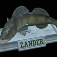 zander-statue-4-mouth-open-18.png fish zander / pikeperch / Sander lucioperca open mouth statue detailed texture for 3d printing