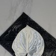 IMG_2461.jpg Envelope de renda