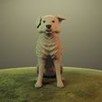DRENDER2.jpg Cane