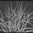 Screenshot-2026-03-08-104034.png Дерево