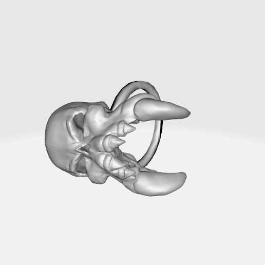 JEWELERY SKULL RING 3D model
