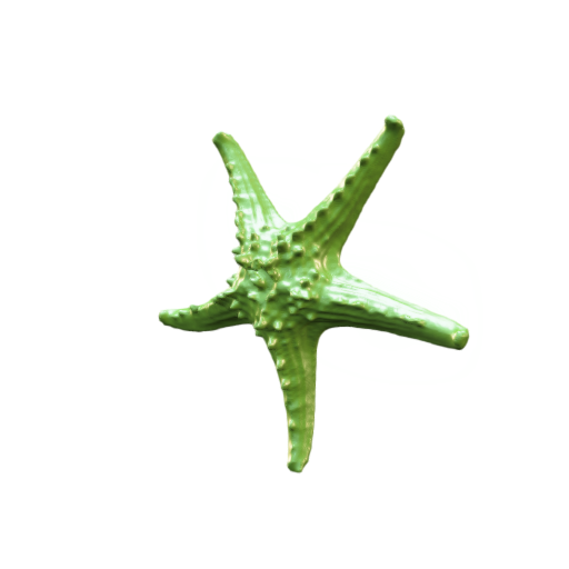 snapshot_p3d-(6).png Véritable étoile de mer 3d scan