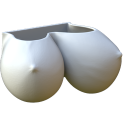 mainview.png STL file Wall flower pot (breasts)・3D print object to download